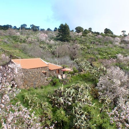 منزل الضيف El Pinar   في Casa Rural La Jarita المظهر الخارجي الصورة