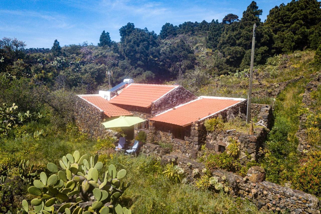 منزل الضيف El Pinar   في Casa Rural La Jarita المظهر الخارجي الصورة