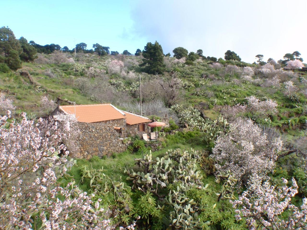 منزل الضيف El Pinar   في Casa Rural La Jarita المظهر الخارجي الصورة