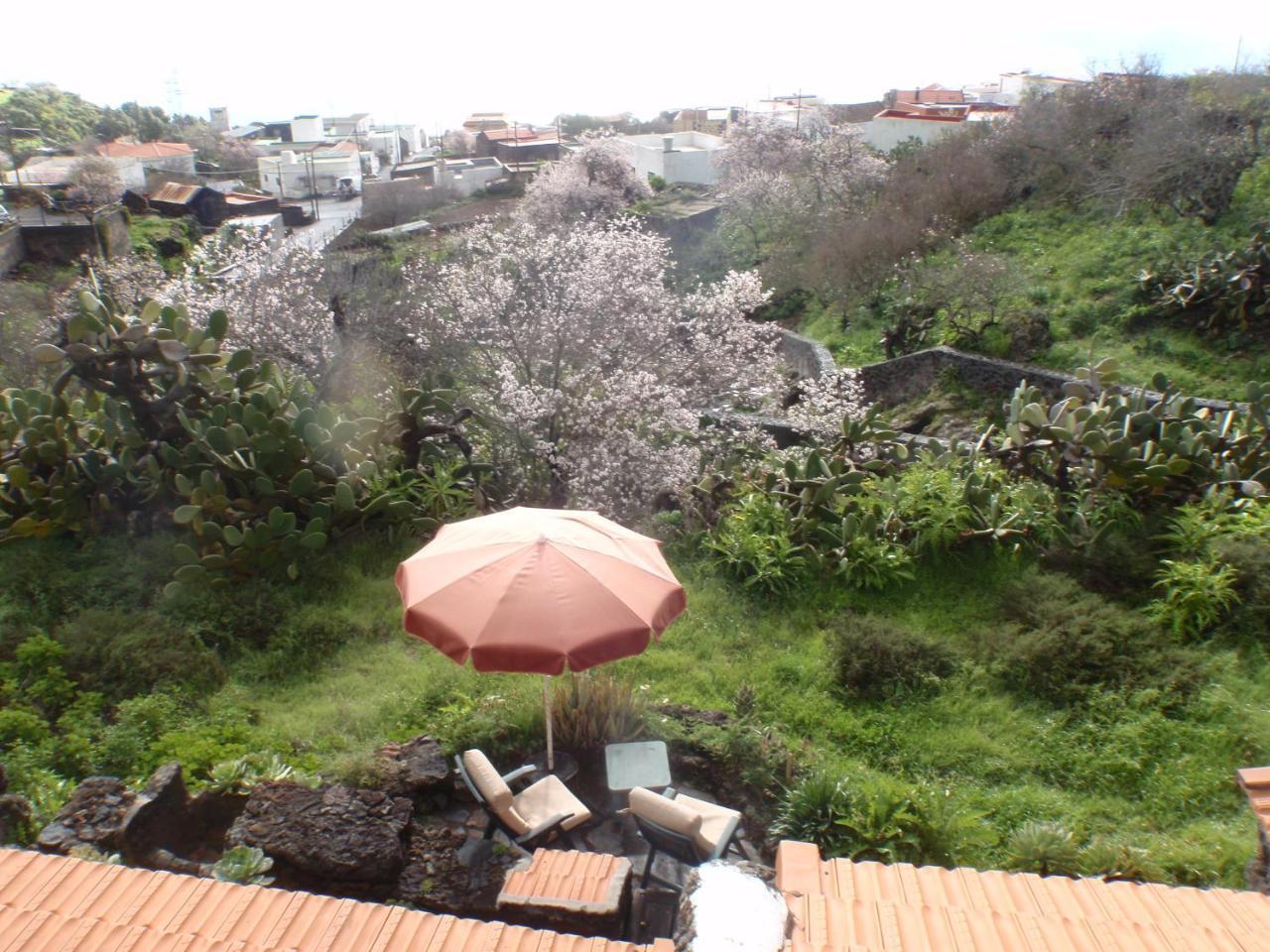 منزل الضيف El Pinar   في Casa Rural La Jarita المظهر الخارجي الصورة